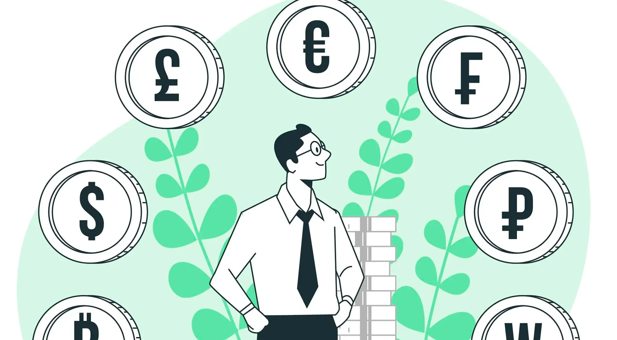 How to Add a Currency Switcher to Gravity Forms (Step-by-Step Guide)